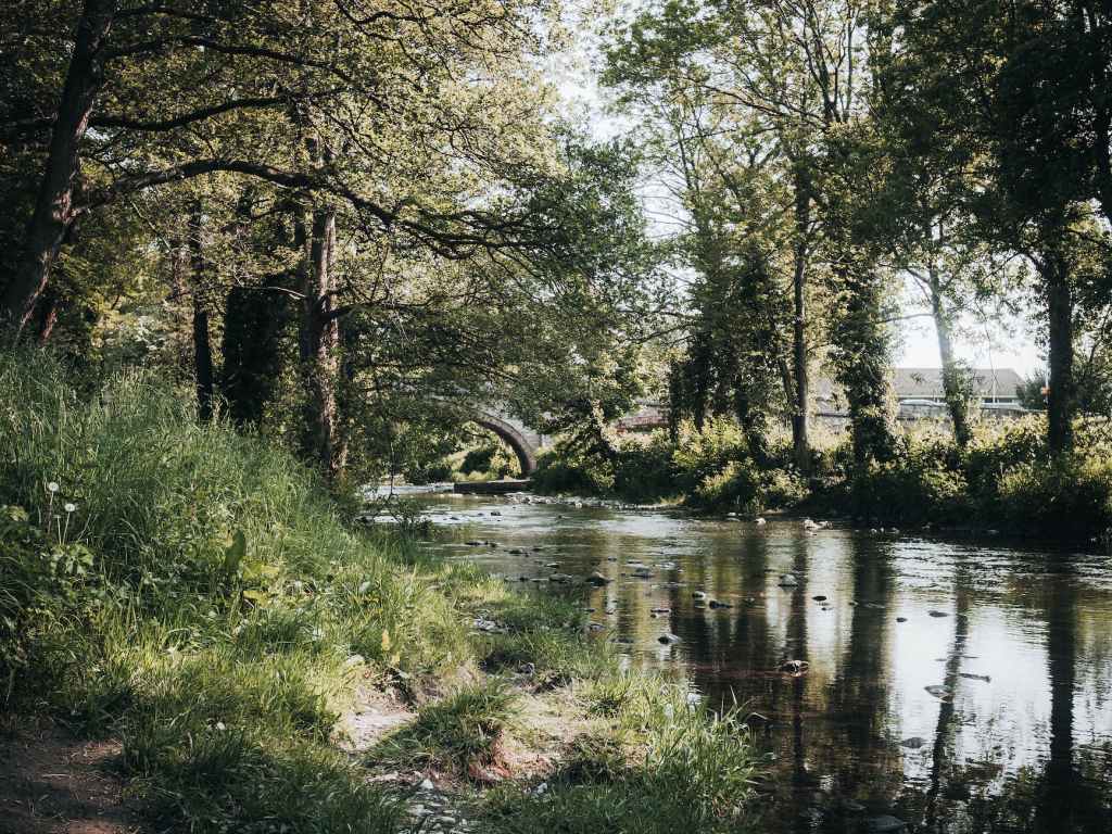 Embrace the Great Outdoors: Unleash the Joy of Nature